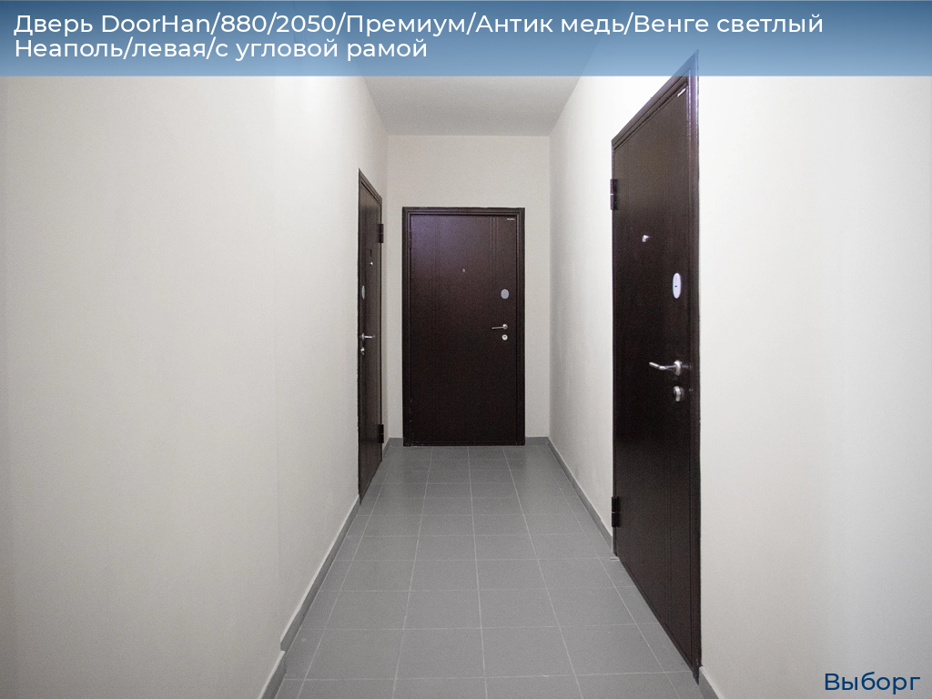 Дверь DoorHan/880/2050/Премиум/Антик медь/Венге светлый Неаполь/левая/с угловой рамой, vyborg.doorhan.ru