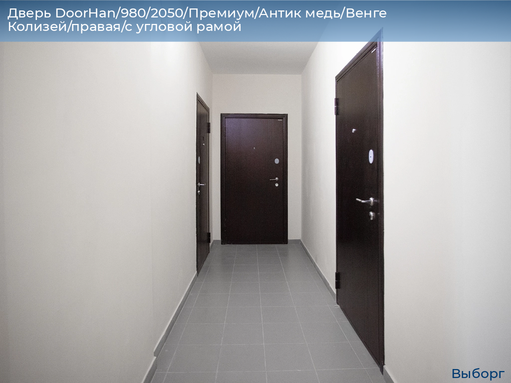 Дверь DoorHan/980/2050/Премиум/Антик медь/Венге Колизей/правая/с угловой рамой, vyborg.doorhan.ru