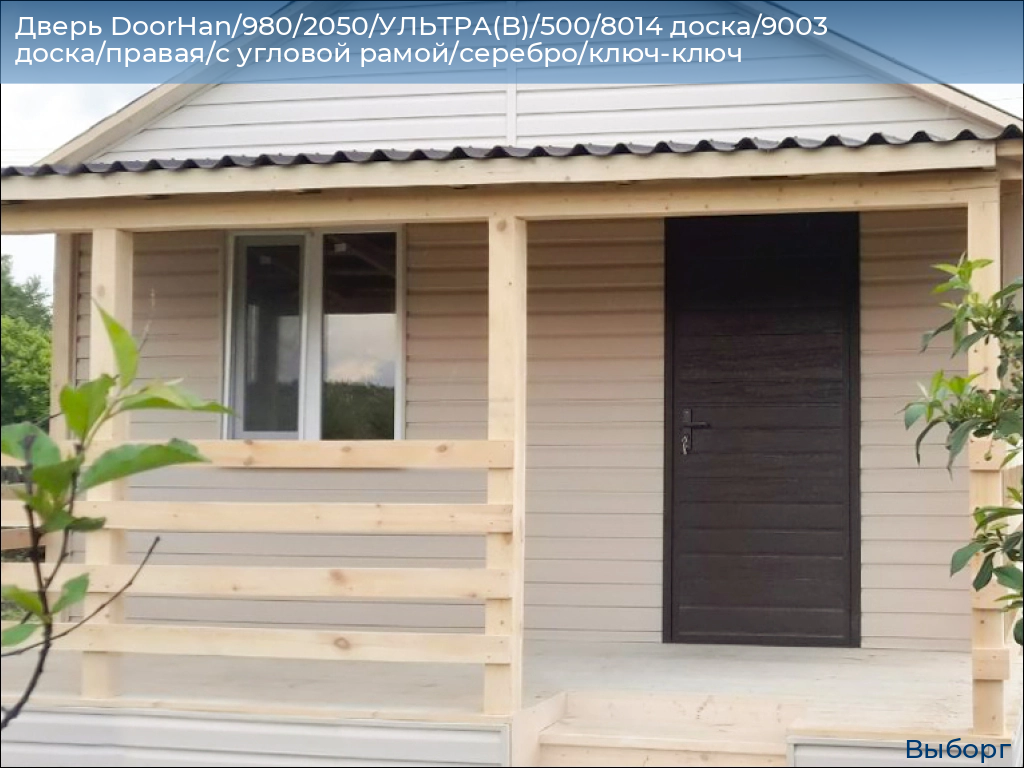 Дверь DoorHan/980/2050/УЛЬТРА(B)/500/8014 доска/9003 доска/правая/с угловой рамой/серебро/ключ-ключ, vyborg.doorhan.ru
