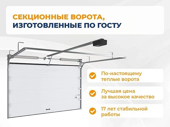 Cекционные ворота 3000х2250 мм коричнево-красные DoorHan RSD02, vyborg.doorhan.ru